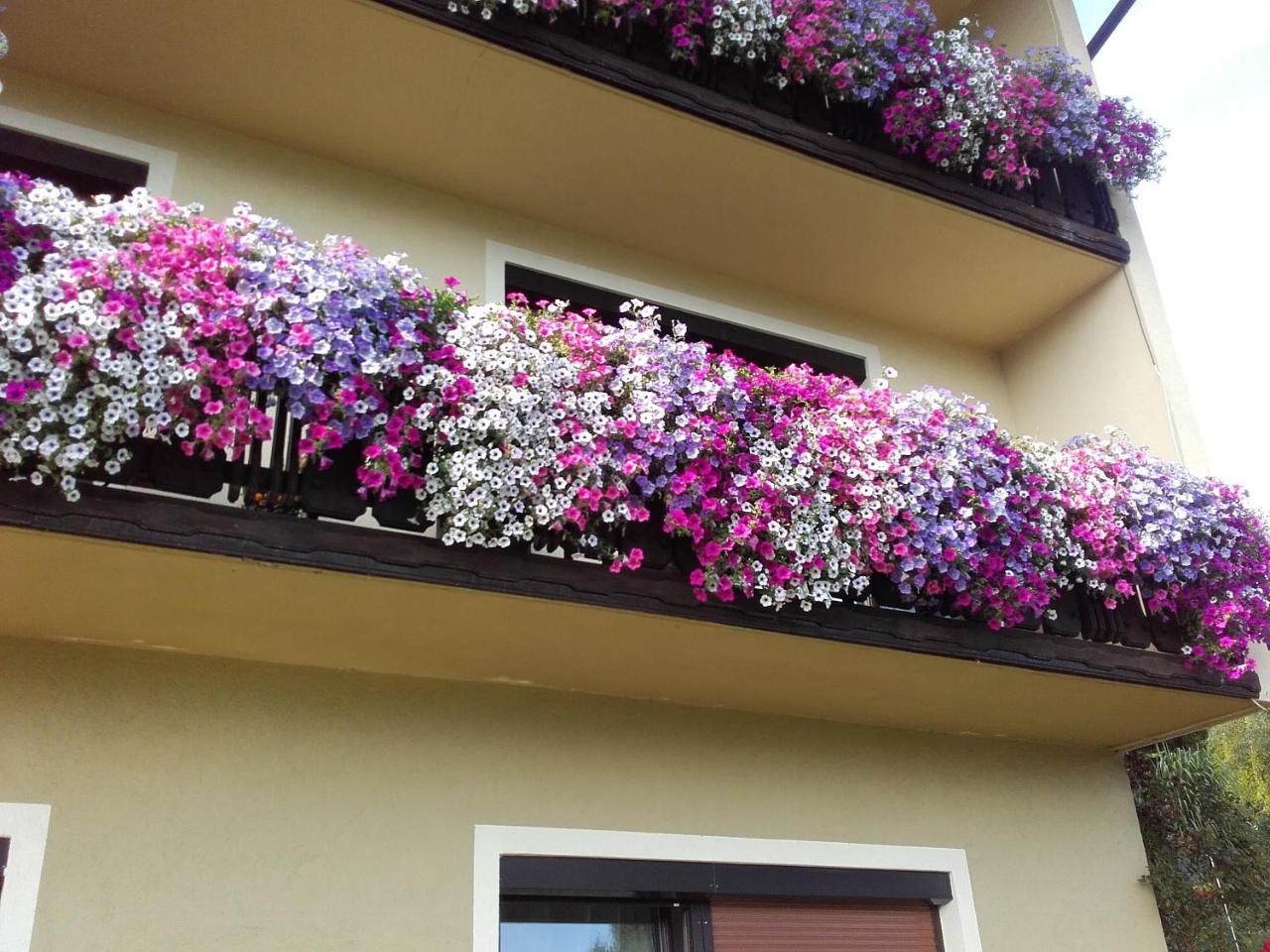 Appartement - Ferienwohnungen - Gaestehaus Gabriele Drobollach am Faakersee Extérieur photo