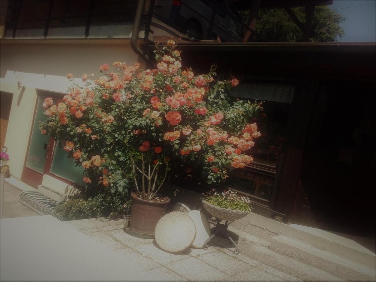 Appartement - Ferienwohnungen - Gaestehaus Gabriele Drobollach am Faakersee Extérieur photo